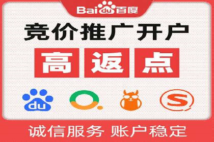 某公司通过百度竞价实现业务快速增长的案例